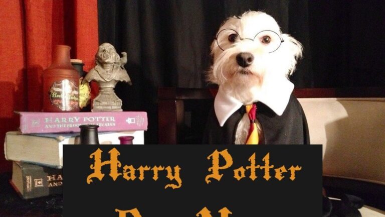 harry-potter-dog-names-thepetstime