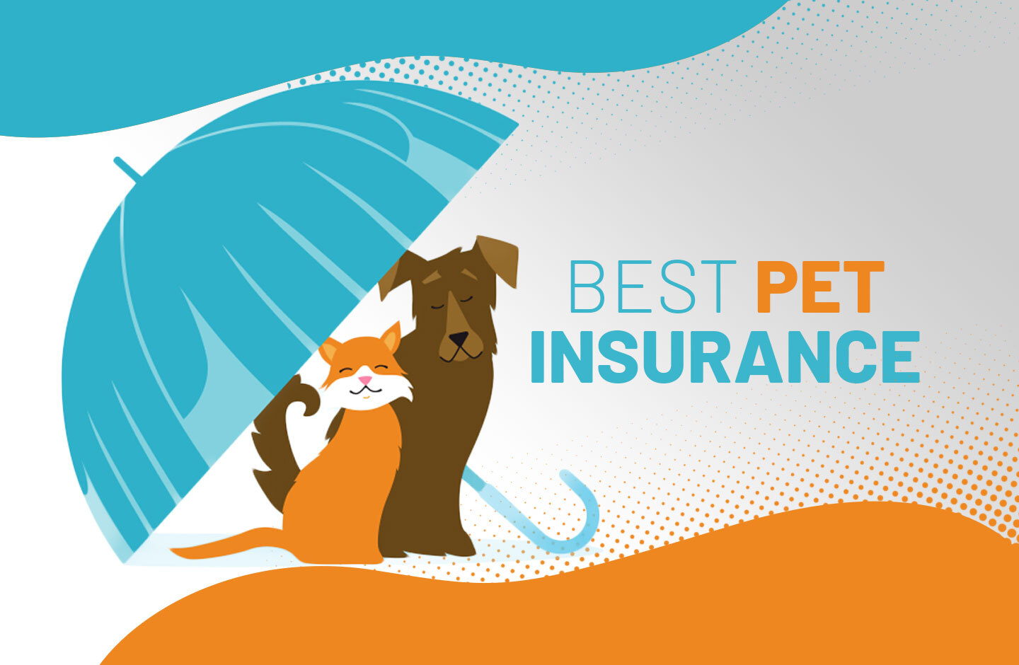 best pet insurance