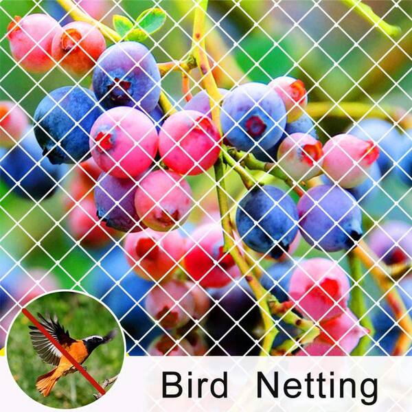 Why Anti-Bird Netting is Popular in Brighton ?