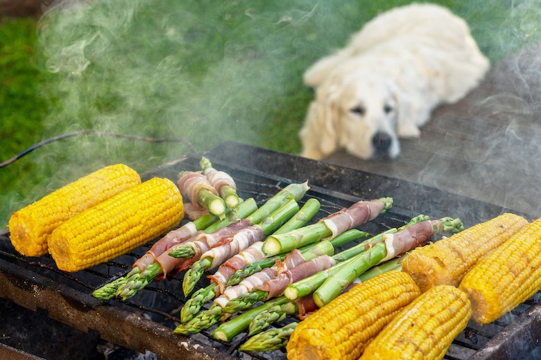 Can Dogs Eat Asparagus ?