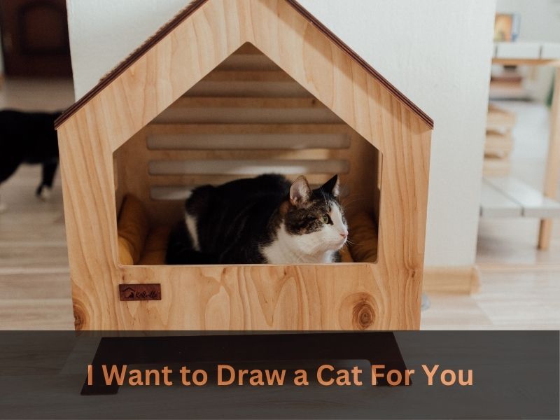 I Want to Draw a Cat For You