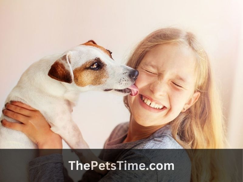 Why Does My Dog Lick Me When I Pet Her: Unraveling the Canine Communication