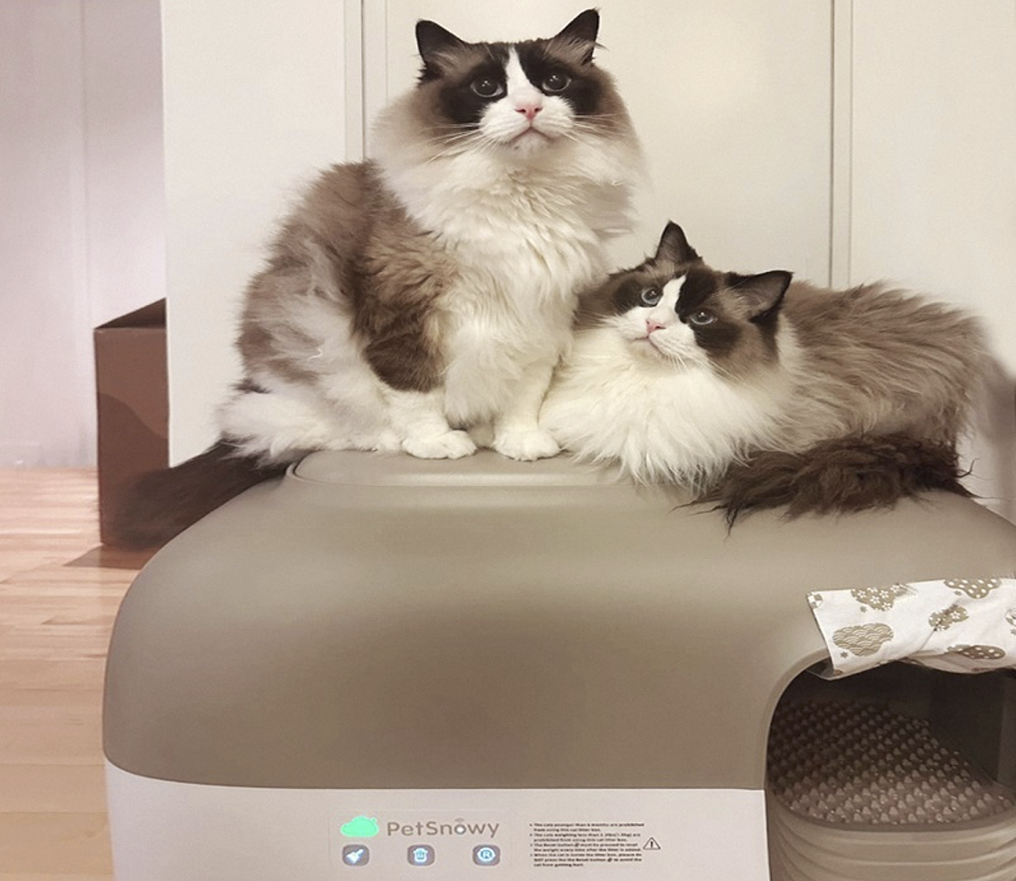 How Self-Cleaning Litter Boxes Free Up Your Time for More Cat Cuddles