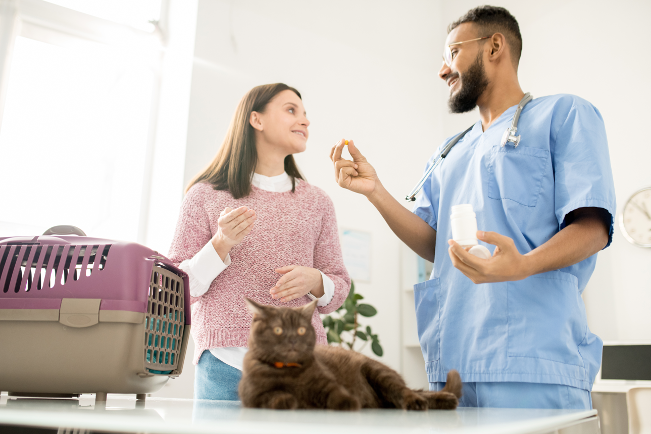 7 Essential Questions to Ask at Your Pet’s Next Checkup