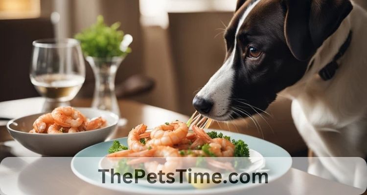 Can Dog Eat Shrimp?